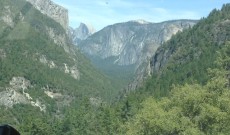 Day 11 – Yosemite (Phenomenal Views; Stupid Tourists)